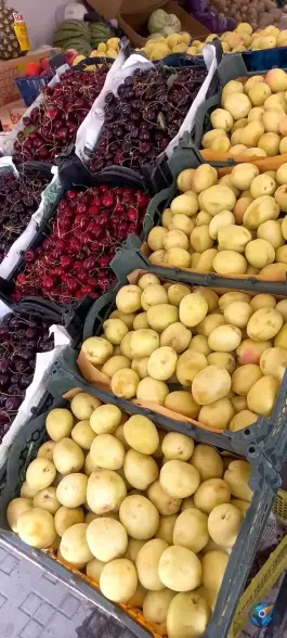 عکس ارزانسرای میوه و تره بار چهارفصل غرضی اصفهان 2