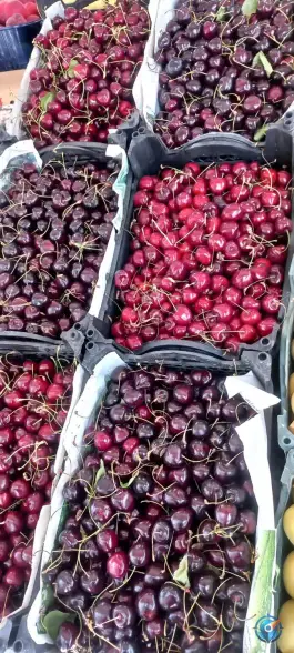 عکس ارزانسرای میوه و تره بار چهارفصل غرضی اصفهان 3