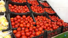 عکس ارزانسرای میوه و تره بار چهارفصل غرضی اصفهان 5
