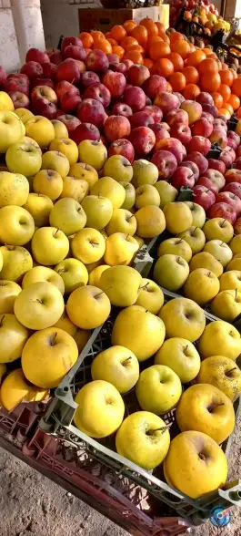 عکس ارزانسرای میوه و تره بار چهارفصل غرضی اصفهان 6