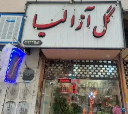 گل آزالیا، بشیر، شیراز