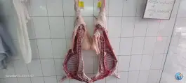 گوشت فروشی امید، محله باتون، اصفهان