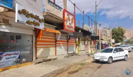 داروخانه دامپزشکی دکتر نصیری، محله شقایق، خرم آباد