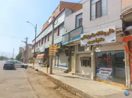 عکس داروخانه دامپزشکی دکتر نصیری، محله شقایق، خرم آباد 2