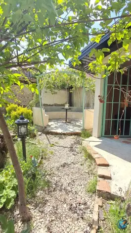 عکس کافه ژرفا، محله چال مسجد، ساری 5
