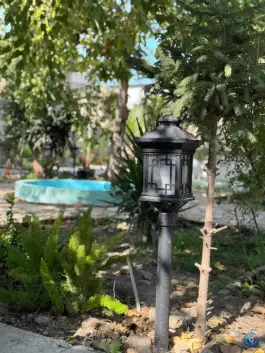 عکس کافه ژرفا، محله چال مسجد، ساری 10