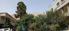 عکس بیمارستان طرفه بهارستان تهران 4