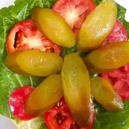 عکس کافه دوچنار، محله امیریه، بجنورد 9