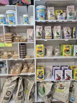 عکس پت شاپ تخصصی دکتر پرندگان قصردشت شیراز 3