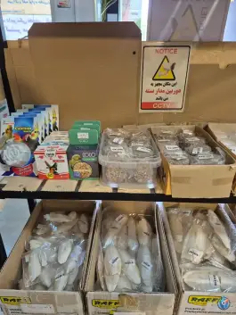عکس پت شاپ تخصصی دکتر پرندگان قصردشت شیراز 5