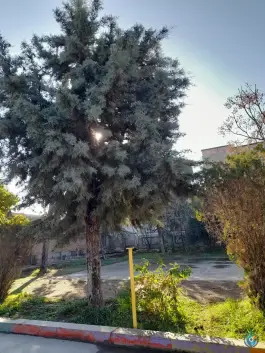 عکس دبیرستان نمونه دولتی کوثر، آق قلا 8