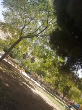 پارک کوهپایه، بلوار چهل مقام، شیراز