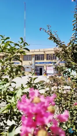 دبیرستان دخترانه نگین «دانشوران جاوید» شاهد مشهد