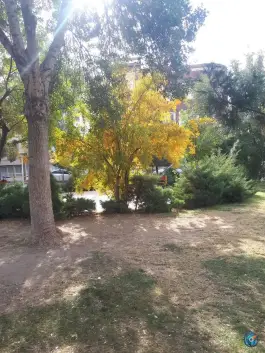 عکس بوستان جوادالائمه (ع)، خیابان پاسداران شرقی، قم 6