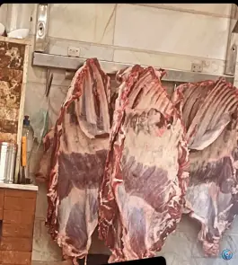 عکس جگرکی ظفر، جوادآباد، ورامین 5