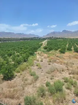 عکس مجتمع آموزشی فرهنگی گردشگری پارادایس، شهرک شهرداری، کاشمر 3