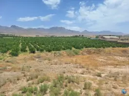 عکس مجتمع آموزشی فرهنگی گردشگری پارادایس، شهرک شهرداری، کاشمر 7
