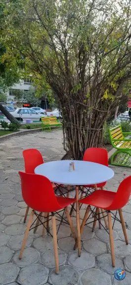 عکس جگرکی بابا علی، بوستان ابن سینا، مشهد 9