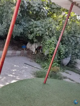 عکس آموزشگاه زبان نالج بابلسر 4