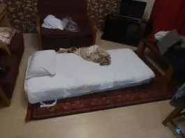 عکس هتل تاوریژ ونک تهران 5