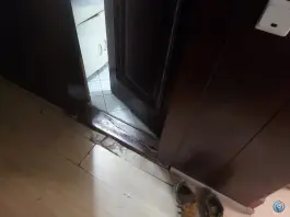 عکس هتل تاوریژ ونک تهران 9