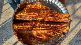 عکس کباب ماهی توحید متقدیمی، جلفا 6