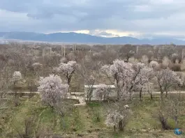 عکس هتل و رستوران گیلاس خرمدره 5