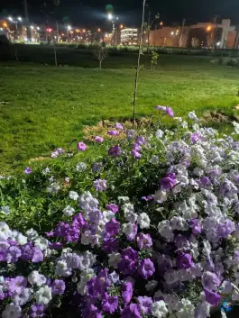 عکس بوستان سوگند صدرا شیراز 3