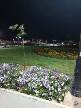 عکس بوستان سوگند صدرا شیراز 5