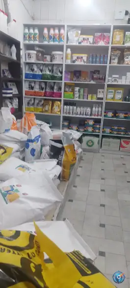 عکس داروخانه دامپزشکی دکتر علویون، قلعه کامکار، قم 1