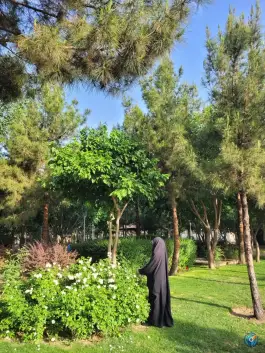 عکس بوستان حکمت، شیخ آباد، قم 2