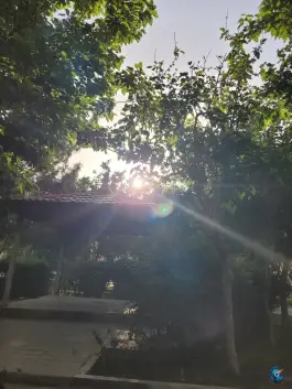 عکس بوستان حکمت، شیخ آباد، قم 4