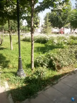پارک شیخ آباد شیخ آبادی کرج