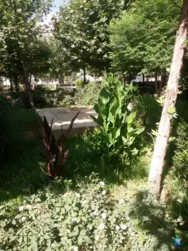 عکس پارک شیخ آباد شیخ آبادی کرج 2