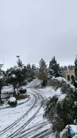 بیمارستان روانپزشکی موسی بن جعفر، تفت