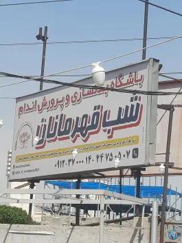 عکس باشگاه بدنسازی و پرورش اندام شب قهرمانان هوانیروز تهران 2