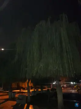 عکس بوستان خانواده گرمدره کرج 9