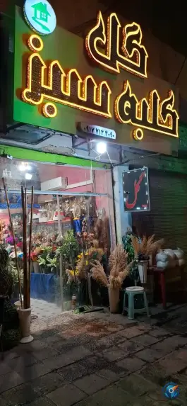 عکس های گل فروشی کلبه سبز، سینما سعدی، شیراز