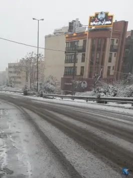 طهران باربیکیو «شعبه سعادت آباد» تهران