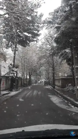 عکس بوستان کاج همایون ویلا محمدشهر کرج 2