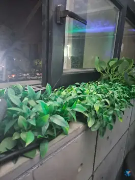 عکس کافه و فست فود اسپریچو تهران 3