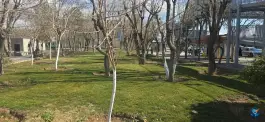 عکس پارک جلال، محله احمدی جنوبی، شیراز 8