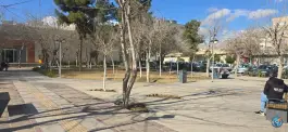 عکس پارک جلال، محله احمدی جنوبی، شیراز 10