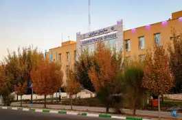 سازمان مرکزی دانشگاه بیرجند، بلوار دانش
