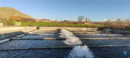 عکس پرورش ماهی سراب عمارت، شهید مدنی، الشتر 6