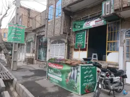 عکس سبزیجات شاهد علی آباد سعدگان قم 2