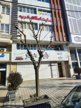 شرکت پیشگامان دانا مرکز خسارت بیمه سامان کرج
