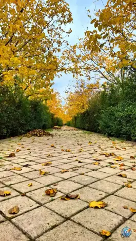 عکس دانشگاه شاهد، آفتاب، تهران 5