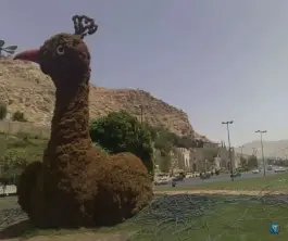 عکس بوستان طاووسیه، نیستان، شیراز 1