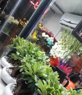 عکس فروشگاه گل سپاس، هشت بهشت شرقی، اصفهان 2